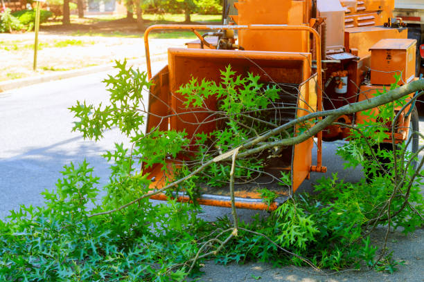 Best Commercial Tree Services  in Scottsville, KY